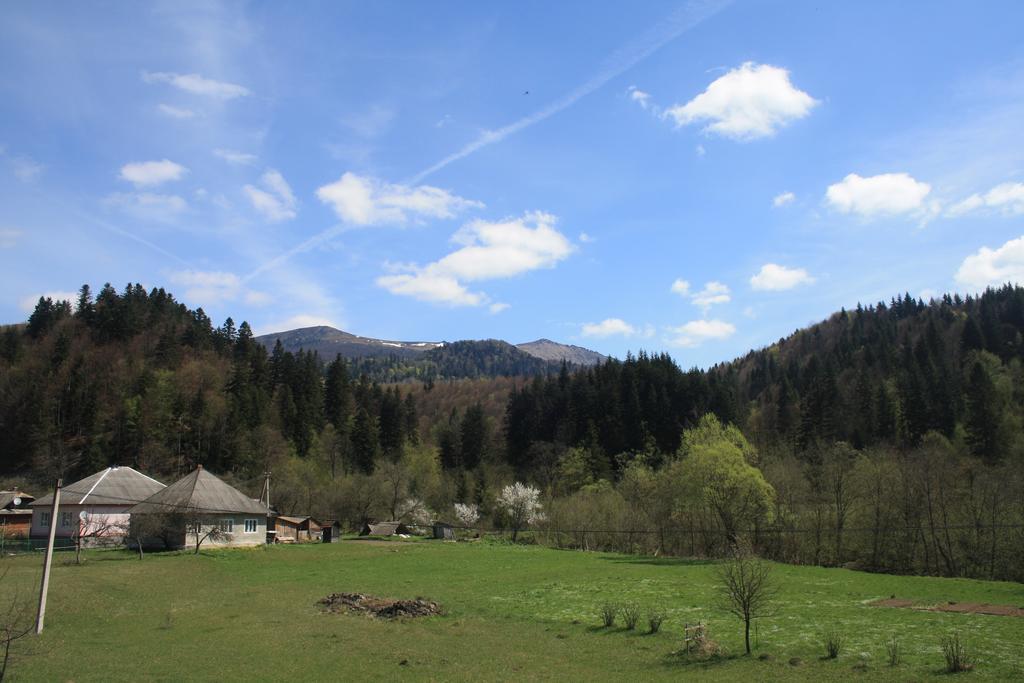 під гострою Zhdeniievo