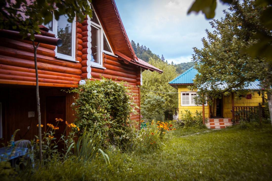 під гострою Zhdeniievo
